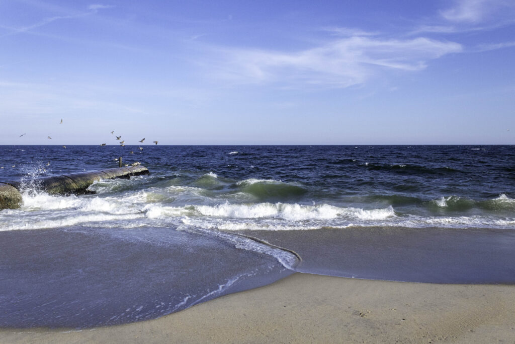 Photograph of a beach, featuring a blue sky, deep blue water, and waves crashing onto the sand. Some birds are flying over a pipe on the left edge.