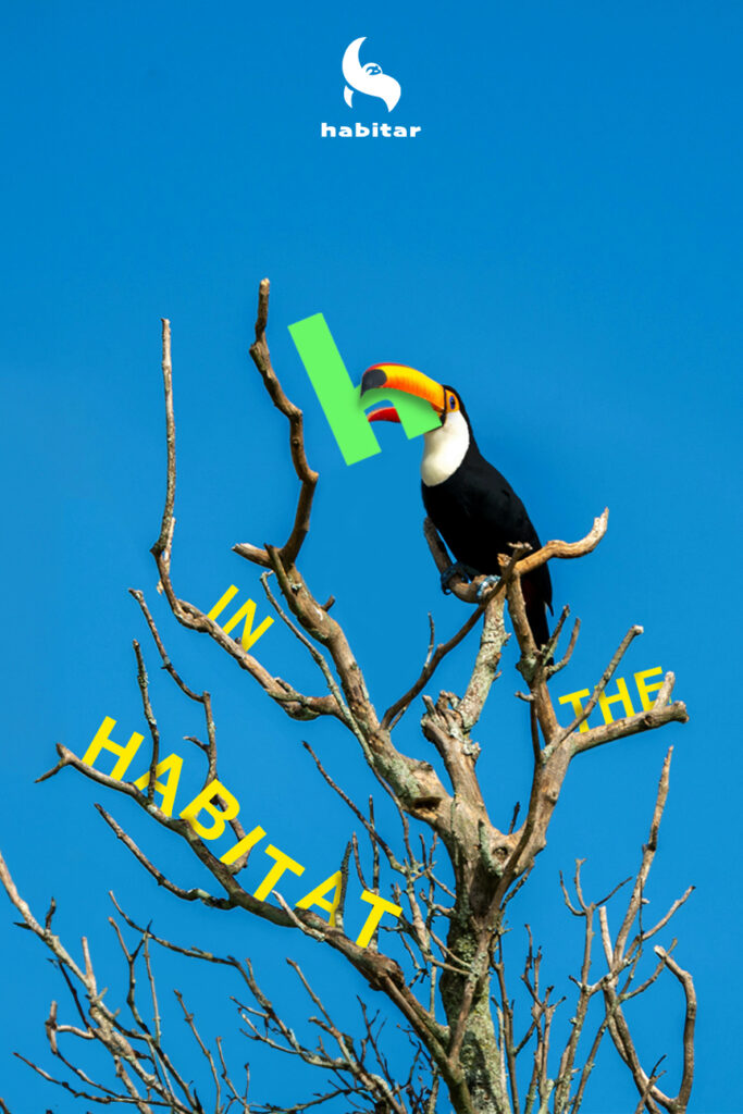 Poster titled "habitar," featuring a toucan on a leafless tree with the letter "h" in its beak. The phrase "in the habitat" is placed along some of the tree branches.