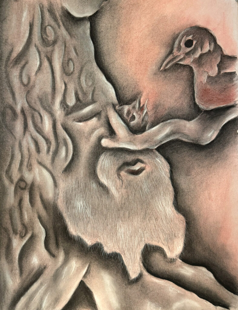 Charcoal drawing of a tree with an old man's face. His nose extends into a tree branch with a bird perched on it.