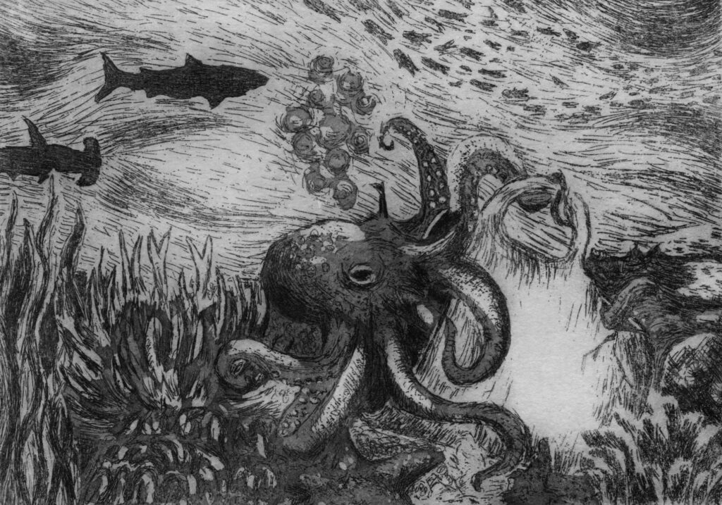 Intaglio print of an underwater scene featuring an octopus and fish in the background.