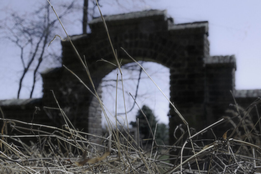 Photograph of a brick archway behind a closeup of dry grass.