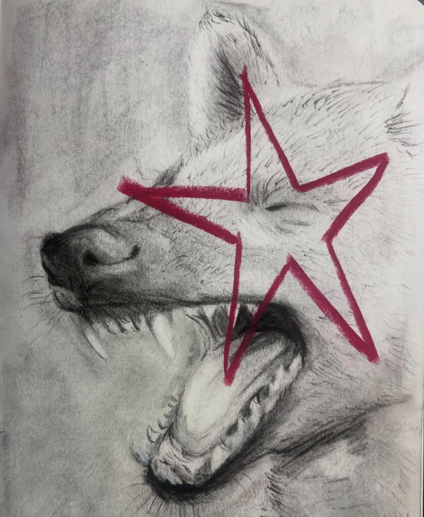 Charcoal drawing of a wolf howling, with a red star drawn around its eye.